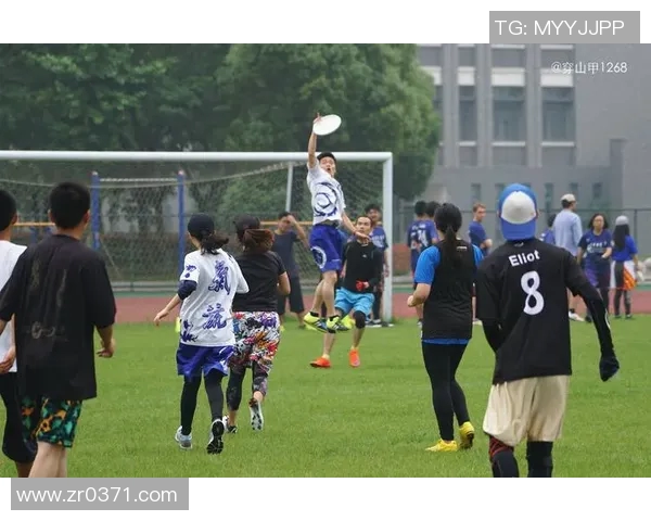 对话杨强:探索飞盘运动的魅力与挑战之旅